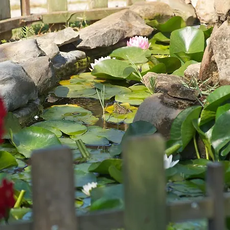 Villaggio Turistico Il Fontino Scarlino